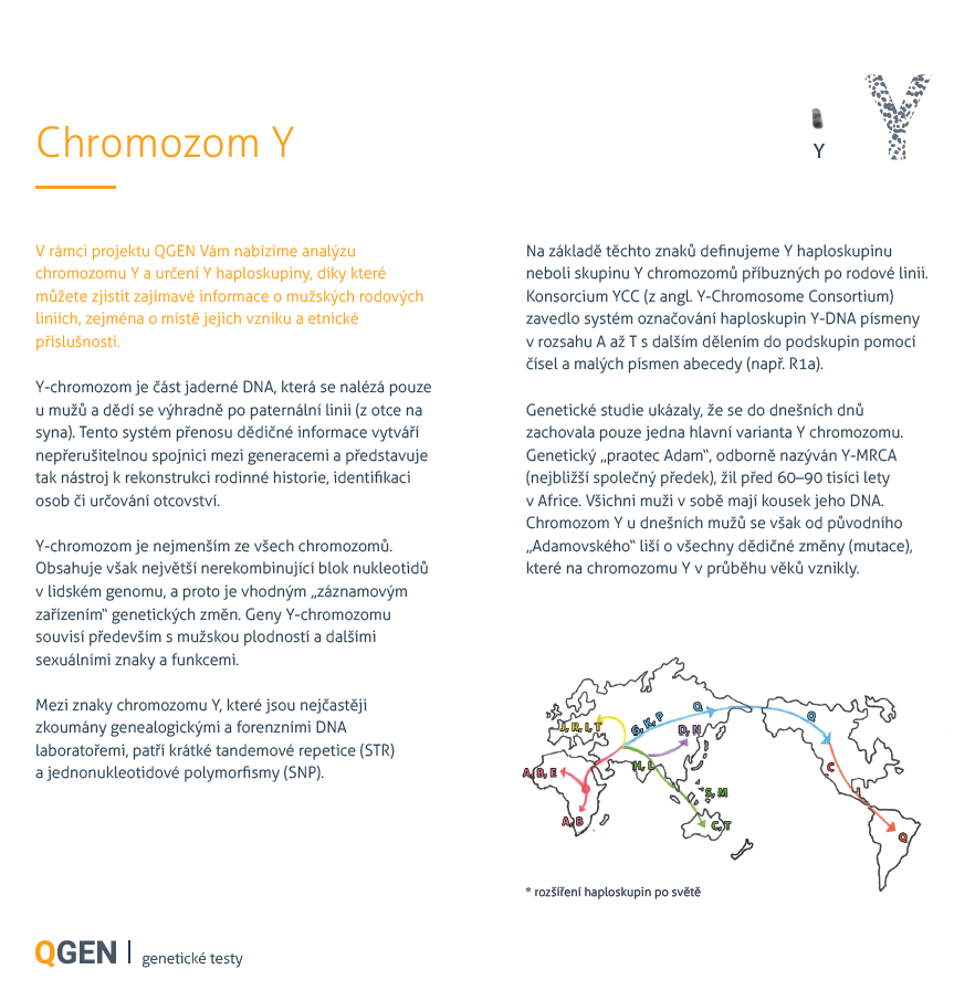 chromozom-Y.png